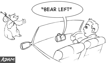 Bear Left