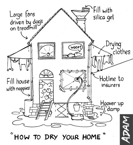 How to dry your home