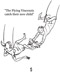 Flying Birth