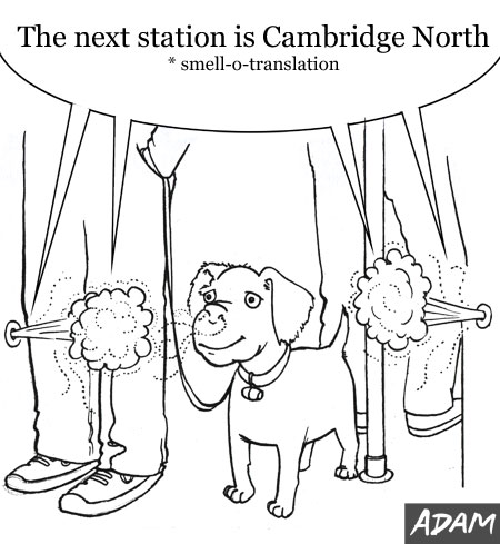 Dog Friendly Trains