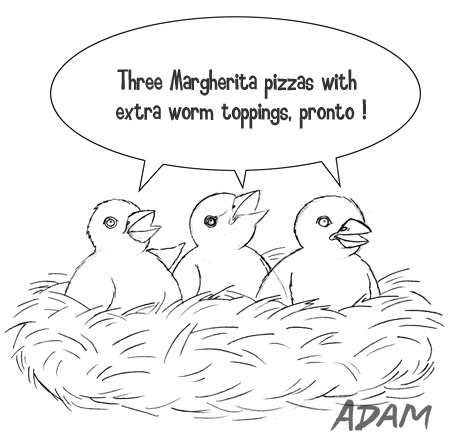 Three Margherita pizzas with extra worm toppings, pronto!