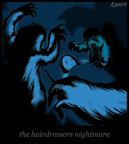 the hairdressers nightmare
