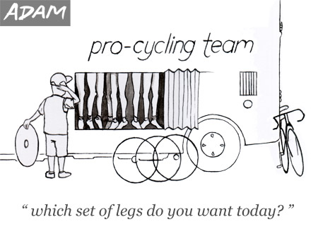 Which set of legs do you want to use today?