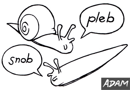 Pleb